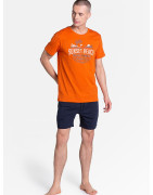 Image produit 24858